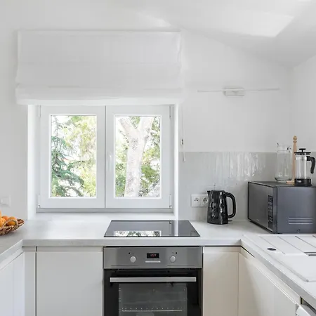 Apartman In Slatine With Terrace